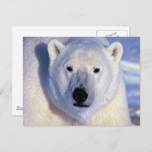 Polar Bear Postkarte (Vorne/Hinten)