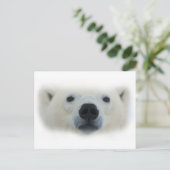 Polar Bear Postkarte (Stehend Vorderseite)