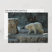 Polar Bear Postkarte (Vorne/Hinten)