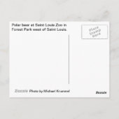 Polar Bear Postkarte (Rückseite)