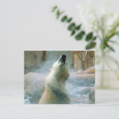 Polar Bear Postkarte (Stehend Vorderseite)