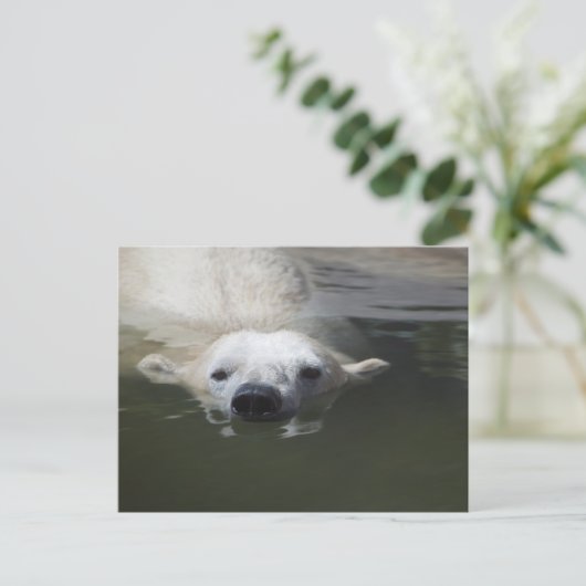 Polar Bear Postkarte (Stehend Vorderseite)