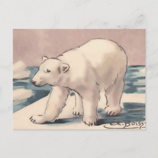 Polar Bear Postkarte (Vorderseite)