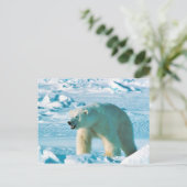 Polar Bear Postkarte (Stehend Vorderseite)