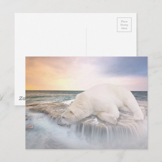 Polar Bear Postkarte (Vorne/Hinten)