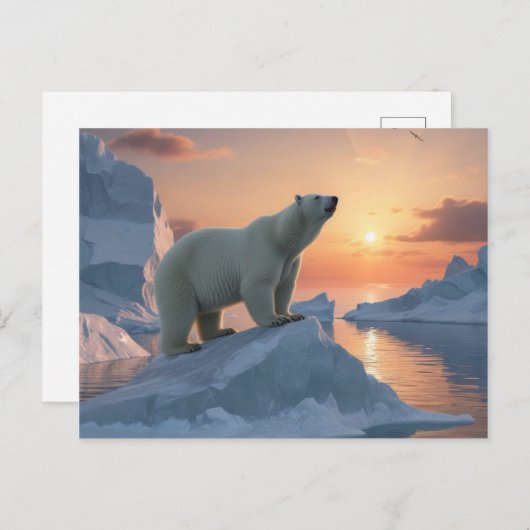 Polar Bear Postkarte (Vorne/Hinten)