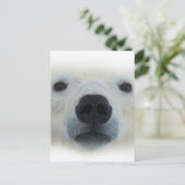 Polar Bear Postkarte (Stehend Vorderseite)