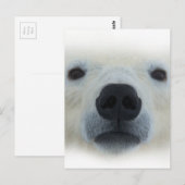Polar Bear Postkarte (Vorne/Hinten)
