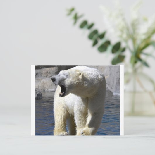 Polar Bear Postkarte (Stehend Vorderseite)