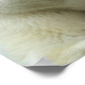 Polar Bear Print Poster (Ecke)