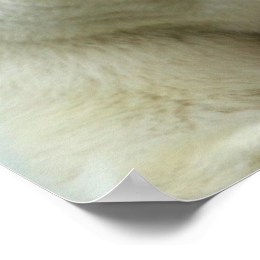 Polar Bear Print Poster (Ecke)