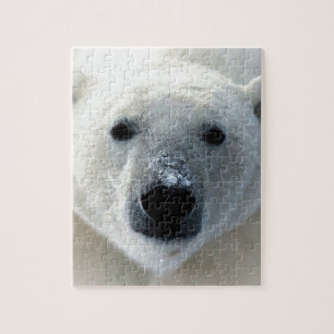 Polar Bear Puzzle