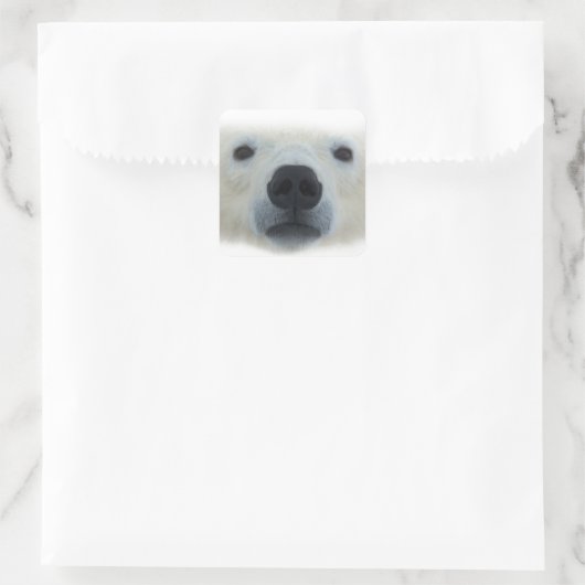 Polar Bear Quadratischer Aufkleber (Tasche)