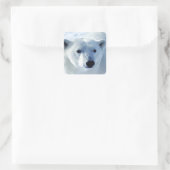 Polar Bear Quadratischer Aufkleber (Tasche)