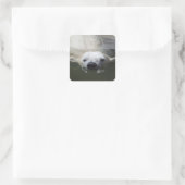 Polar Bear Quadratischer Aufkleber (Tasche)