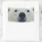 Polar Bear Rechteckiger Aufkleber (Tasche)