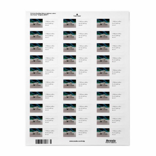 Polar Bear Resting (Vorne)