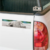 Polar Bear Resting Autoaufkleber (Auf Lkw)