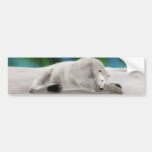 Polar Bear Resting Autoaufkleber