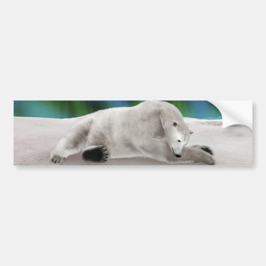 Polar Bear Resting Autoaufkleber (Vorne)