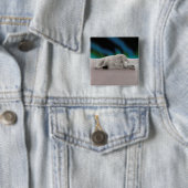Polar Bear Resting Button (Beispiel)