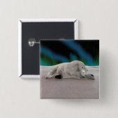 Polar Bear Resting Button (Vorne & Hinten)