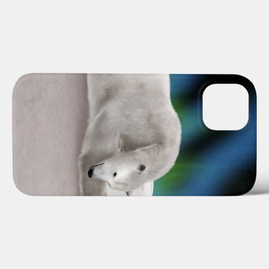 Polar Bear Resting Case-Mate iPhone Hülle (Rückseite (Horizontal))