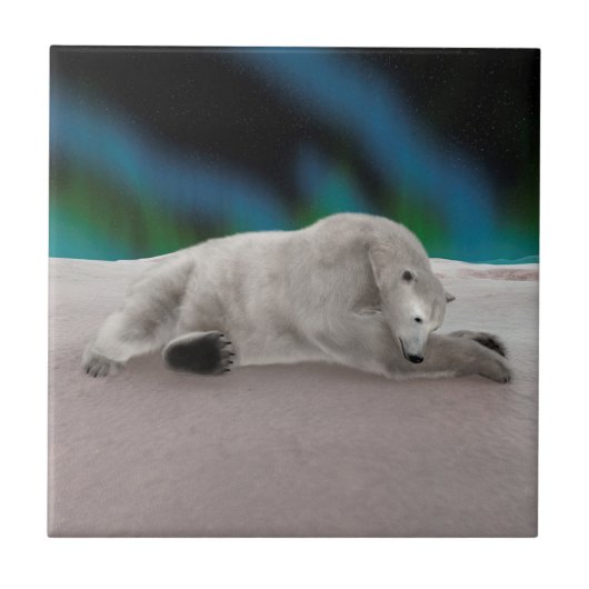 Polar Bear Resting Fliese (Vorderseite)