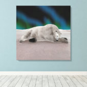 Polar Bear Resting Leinwanddruck (Insitu (Holzboden))