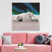 Polar Bear Resting Leinwanddruck (Insitu (Wohnzimmer))