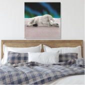 Polar Bear Resting Leinwanddruck (Insitu (Schlafzimmer))