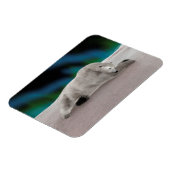 Polar Bear Resting Magnet (Linke Seite)