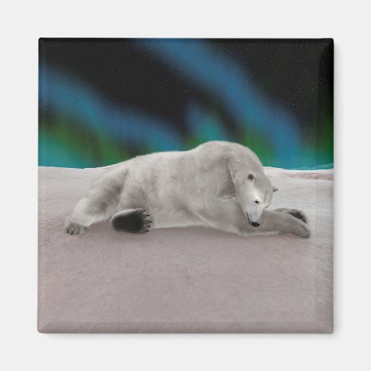 Polar Bear Resting Magnet (Vorne)