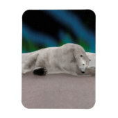 Polar Bear Resting Magnet (Vertikal)