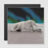 Polar Bear Resting Magnetkarte (Vorne/Hinten)