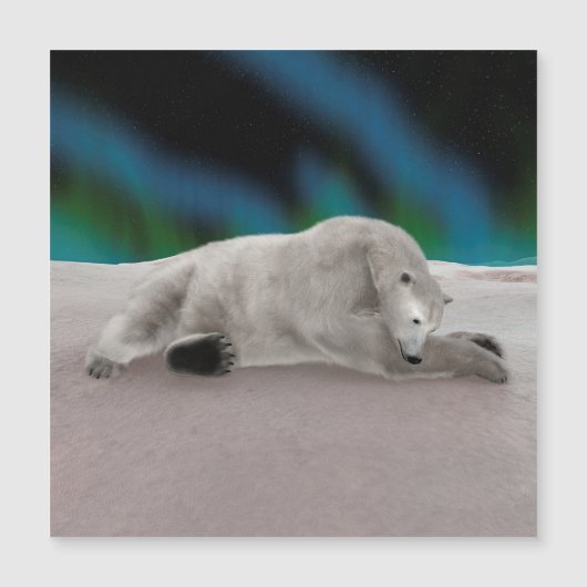Polar Bear Resting Magnetkarte (Vorderseite)