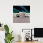 Polar Bear Resting Poster (Heimbüro)