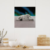 Polar Bear Resting Poster (Küche)