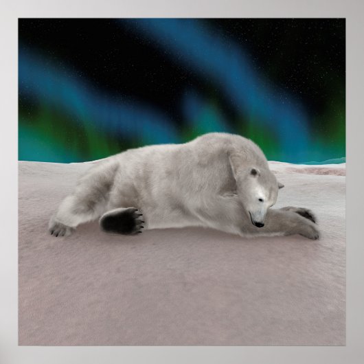 Polar Bear Resting Poster (Vorne)