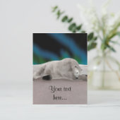 Polar Bear Resting Postkarte (Stehend Vorderseite)