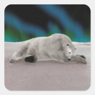 Polar Bear Resting Quadratischer Aufkleber