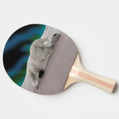 Polar Bear Resting Tischtennis Schläger (Seitenansicht)