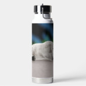 Polar Bear Resting Trinkflasche (Links)