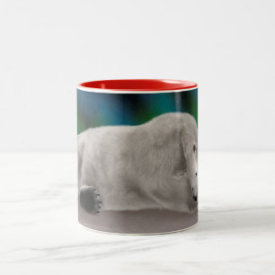 Polar Bear Resting Zweifarbige Tasse