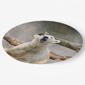 Polar Bear Roaring Pappteller (Schrägansicht)