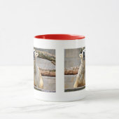 Polar Bear Roaring Tasse (Zentrum)