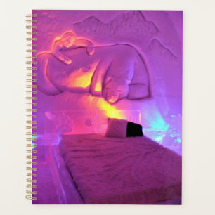 Polar Bear Room im Hotel de Glace, Quebec, Kanada Planer