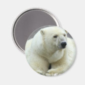Polar Bear Round Magnet (Vorderseite/Rückseite)