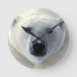 Polar Bear Runde Wanduhr
