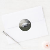 Polar Bear Runder Aufkleber (Umschlag)